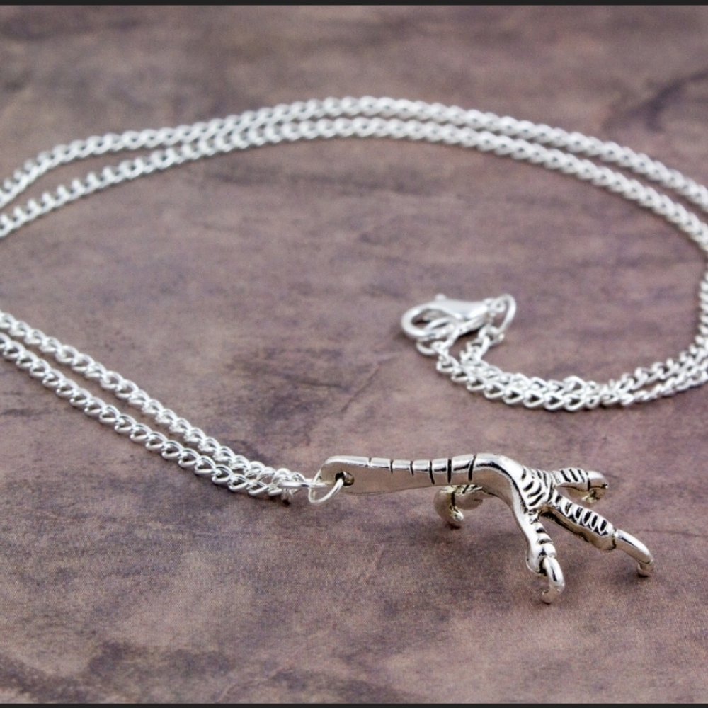 Raven claw necklace bird claw necklace